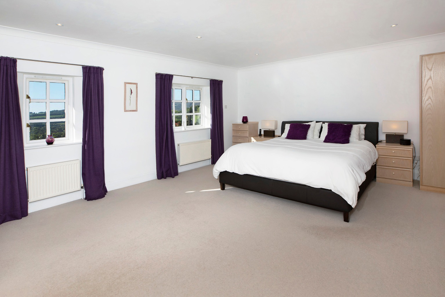 Hawkmoor Parke, Bovey Tracey, South Devon, photo 14