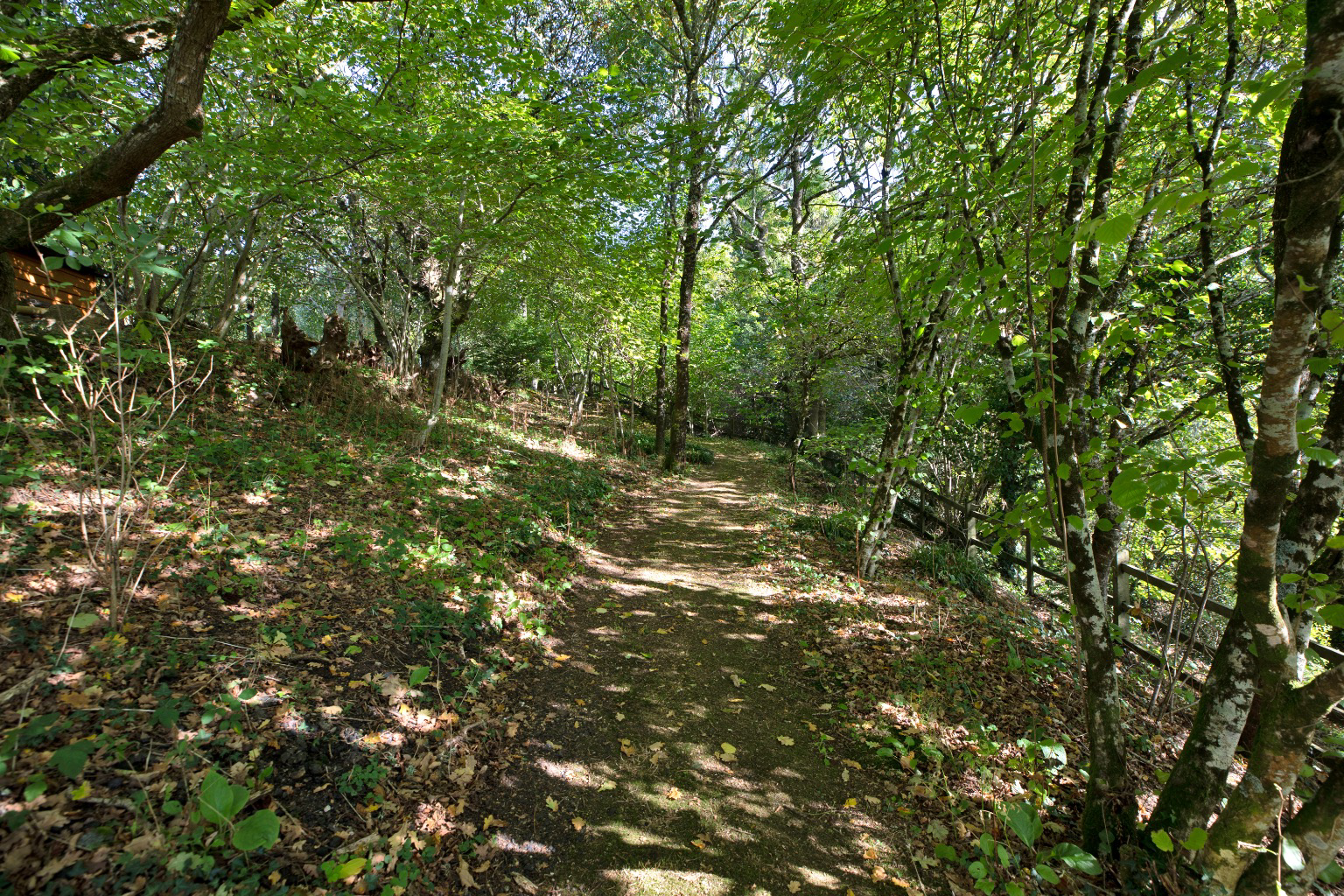 Hawkmoor Parke, Bovey Tracey, South Devon, photo 36