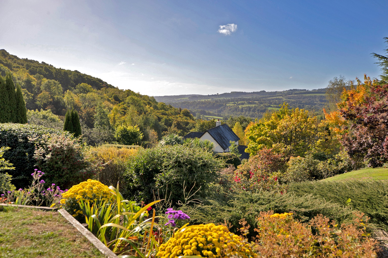 Hawkmoor Parke, Bovey Tracey, South Devon, photo 40