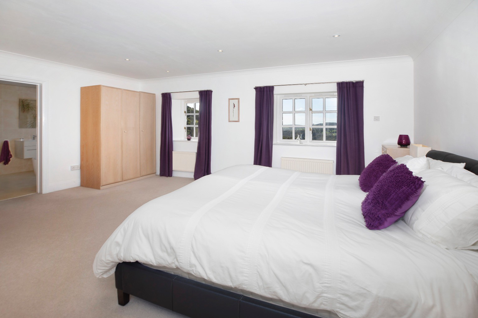 Hawkmoor Parke, Bovey Tracey, South Devon, photo 13