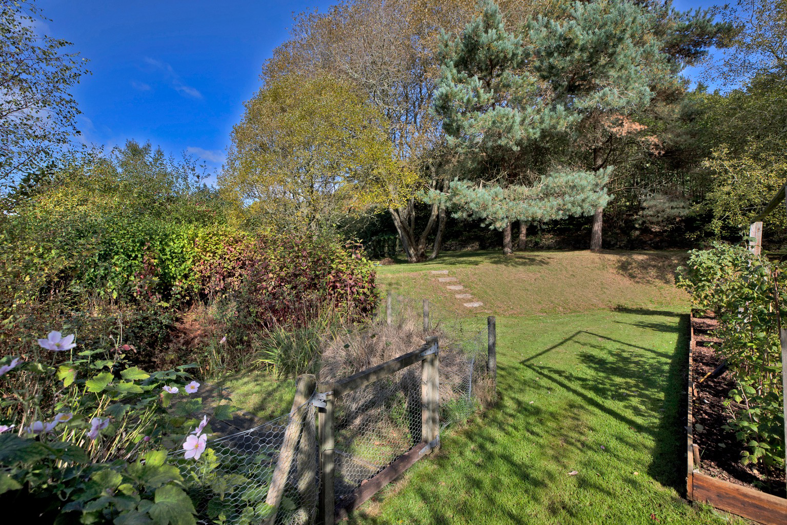 Hawkmoor Parke, Bovey Tracey, South Devon, photo 30