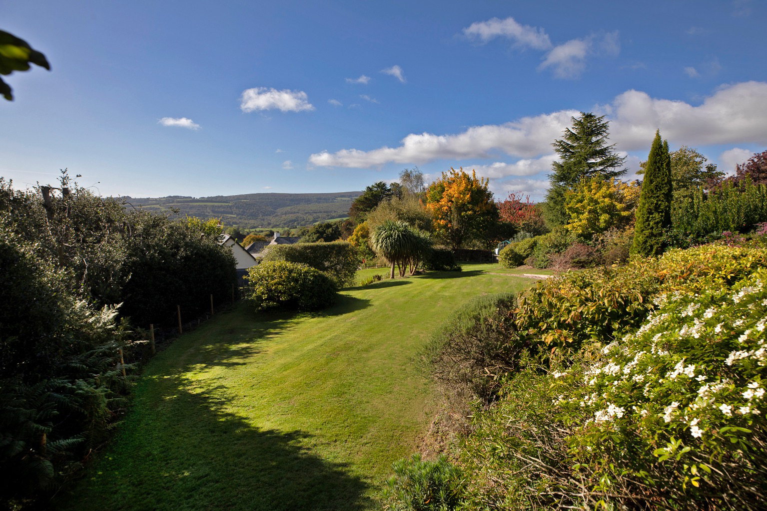 Hawkmoor Parke, Bovey Tracey, South Devon, photo 31