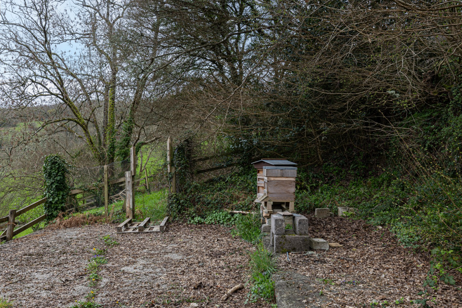 Nr Christow, Teign Valley, Exeter, EX6 7NT, photo 31