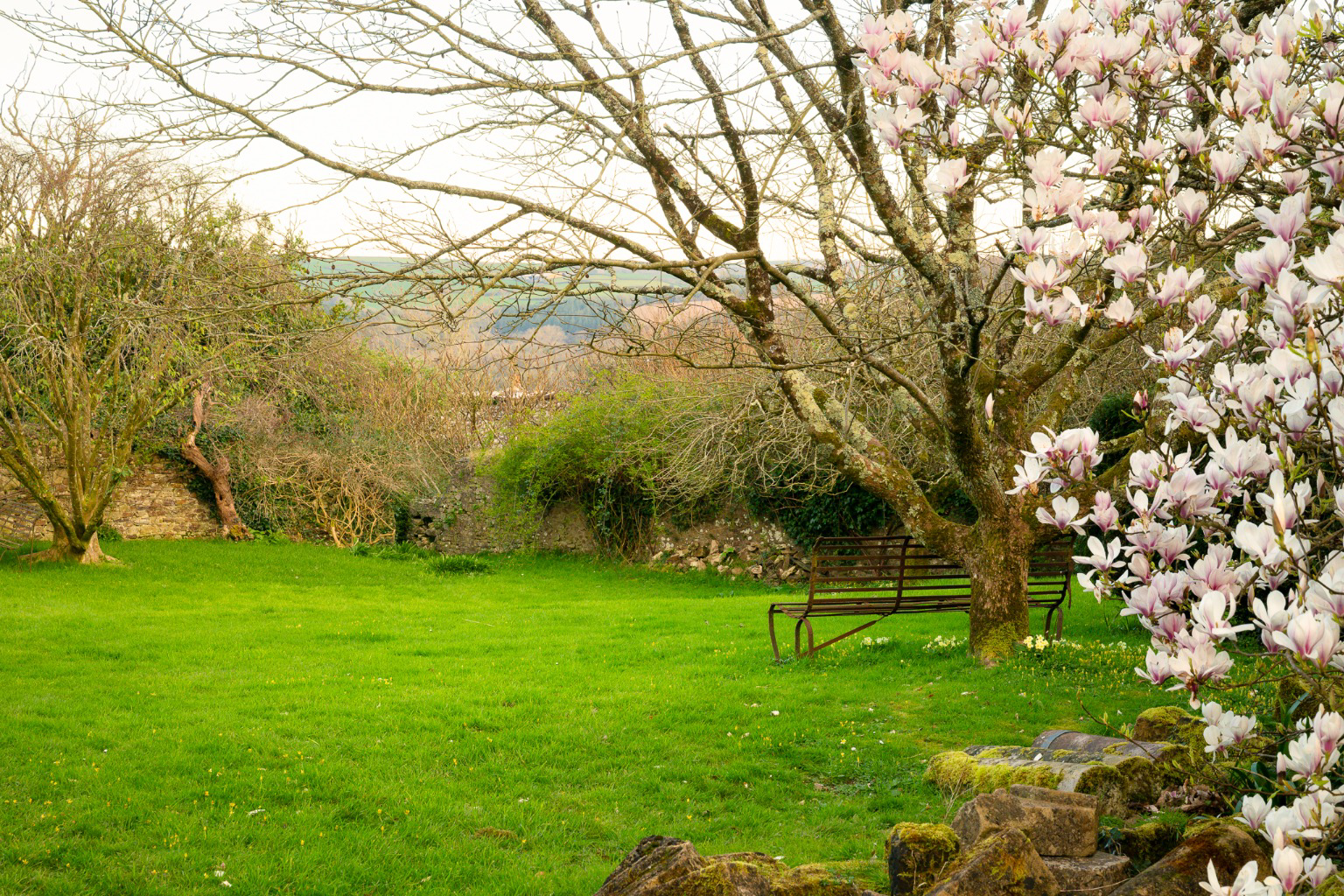Annery, Monkleigh, Nr Bideford, North Devon EX39, photo 20