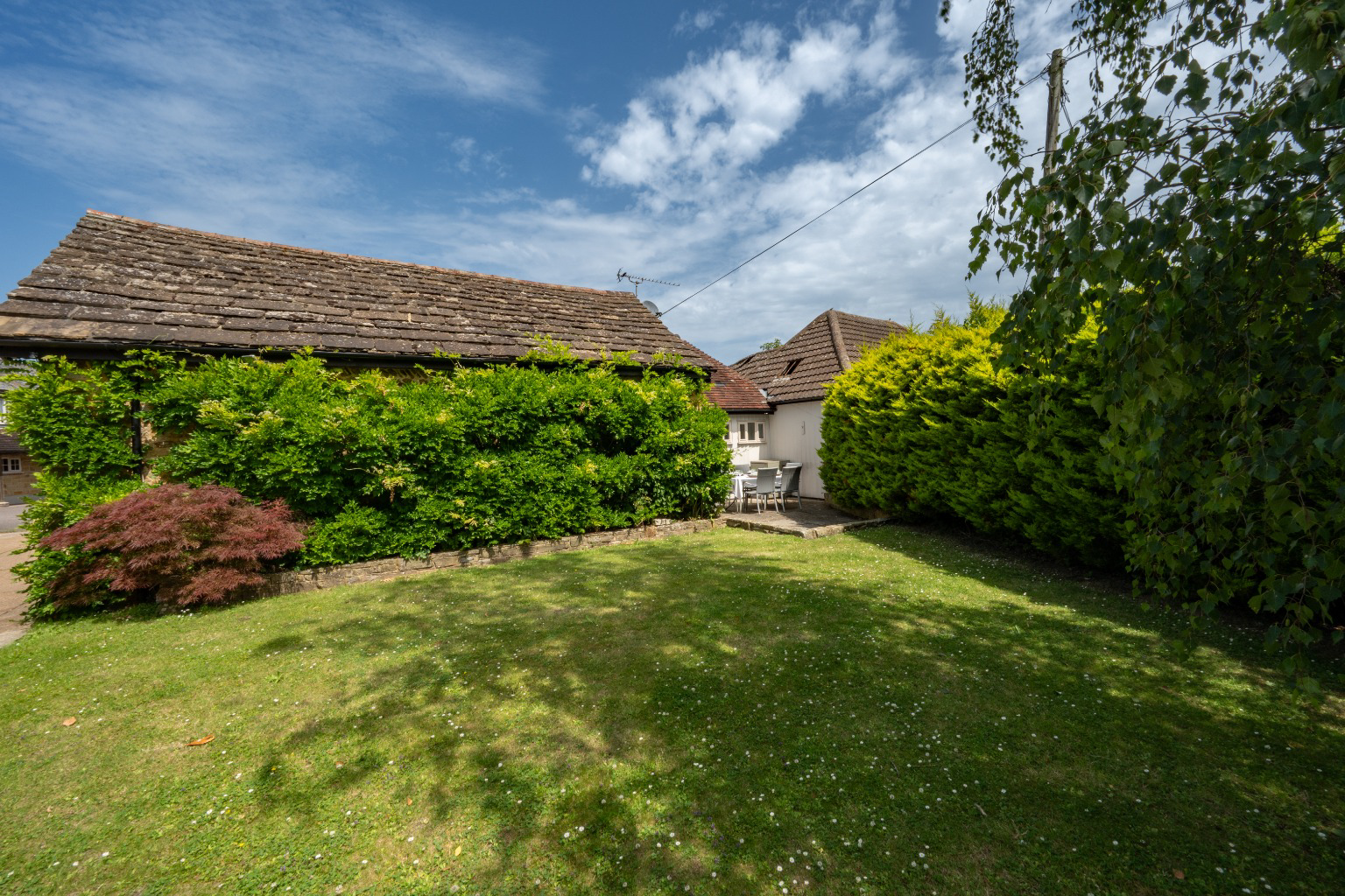 Media image 13