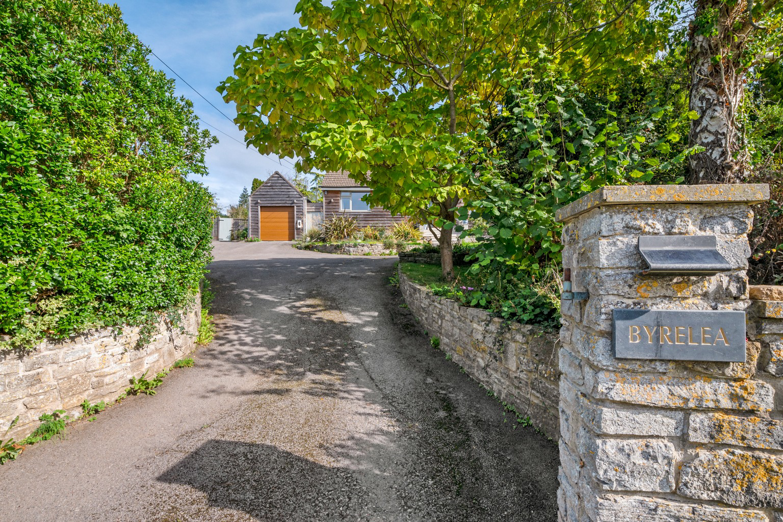 Media image 54