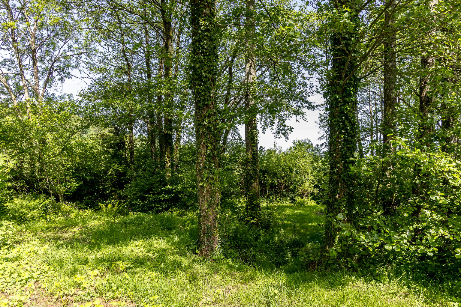 Bridford Road, Christow, Teign Valley, Devon, photo 27