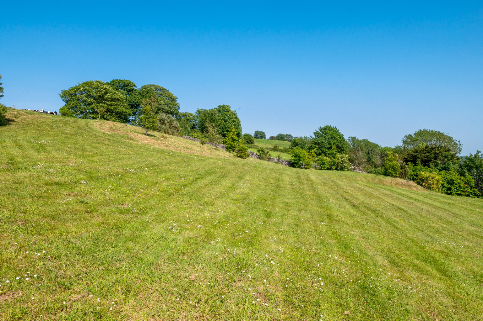West Horrington, Wells, Somerset, photo 69