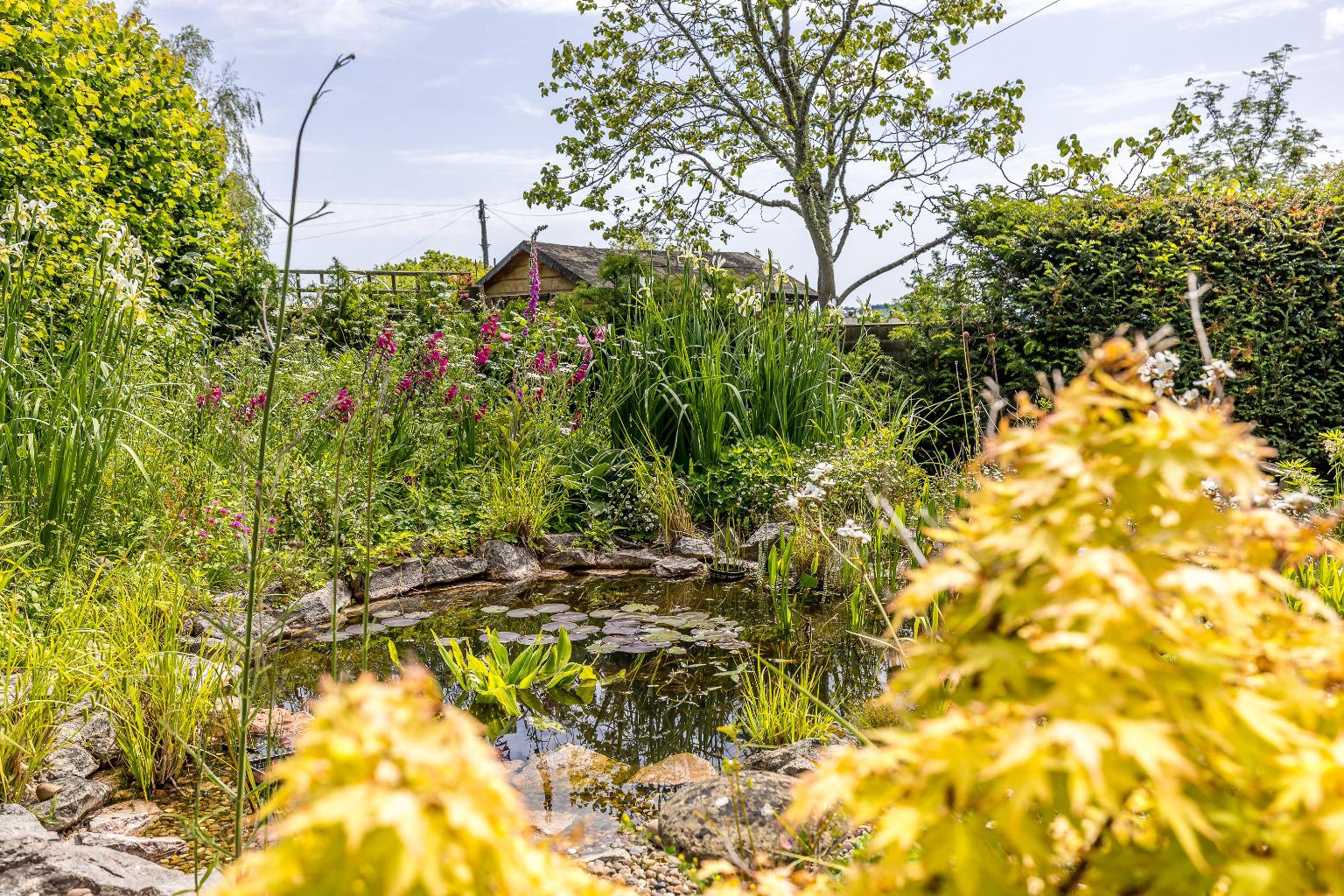 Devon House Drive, Bovey Tracey, Devon, photo 36