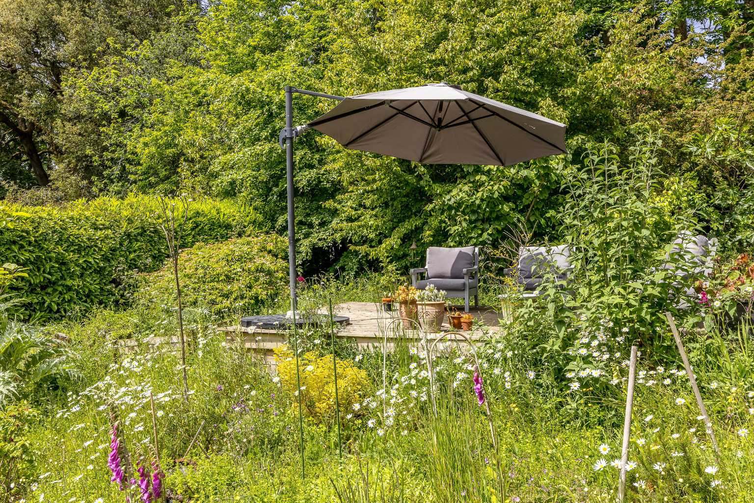 Devon House Drive, Bovey Tracey, Devon, photo 4