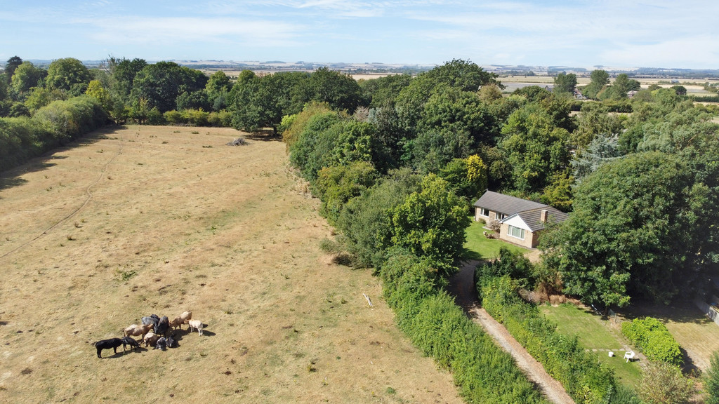 The Bungalow, Sea Dyke Way, Marshchapel DN36 5TZ, photo 2