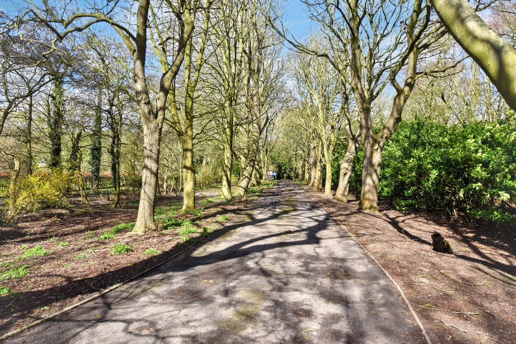 The Elms, Fleetway, North Cotes, Grimsby DN36 5UT, photo 7
