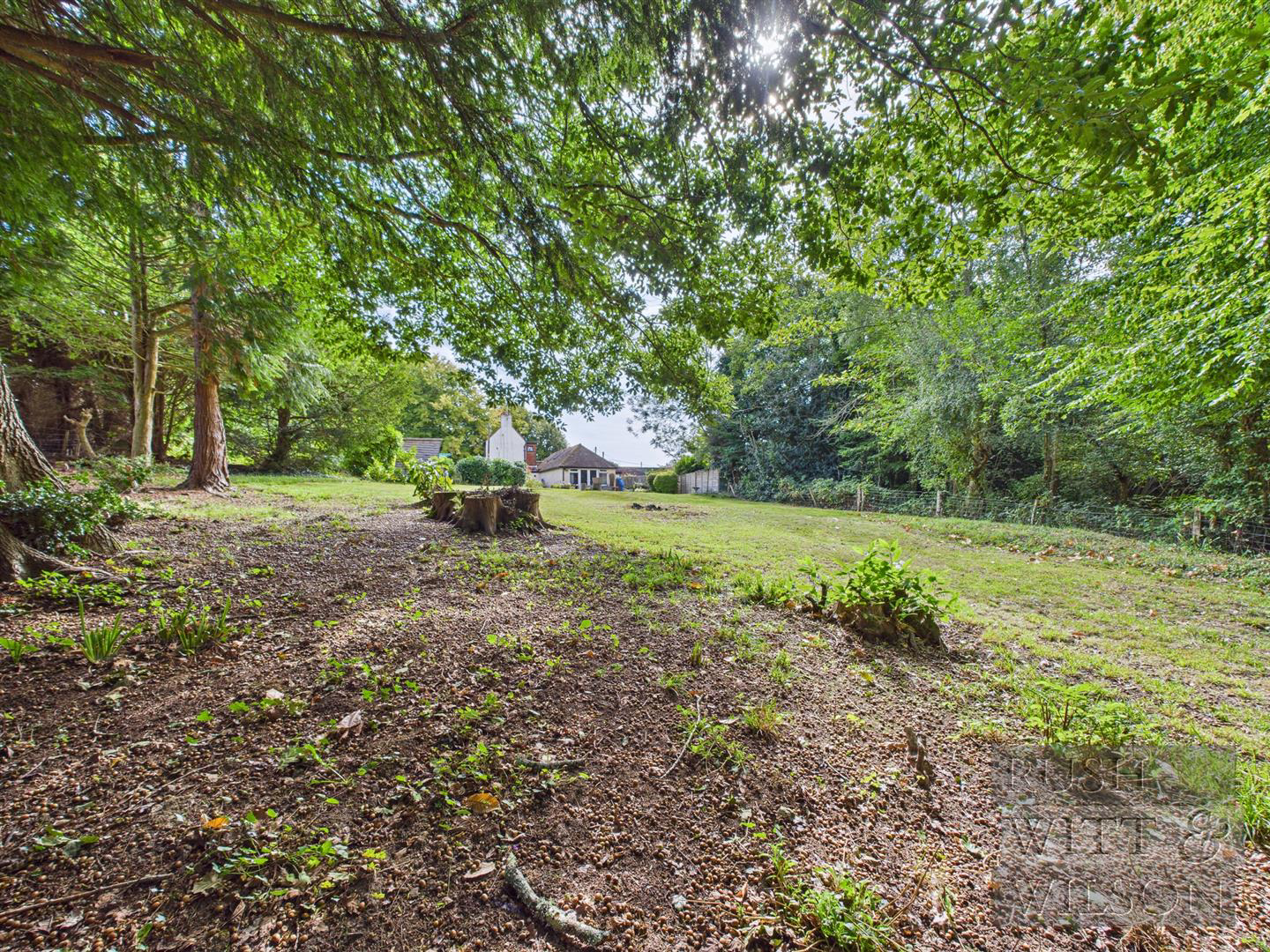 Forewood Lane, Crowhurst, Battle, photo 22