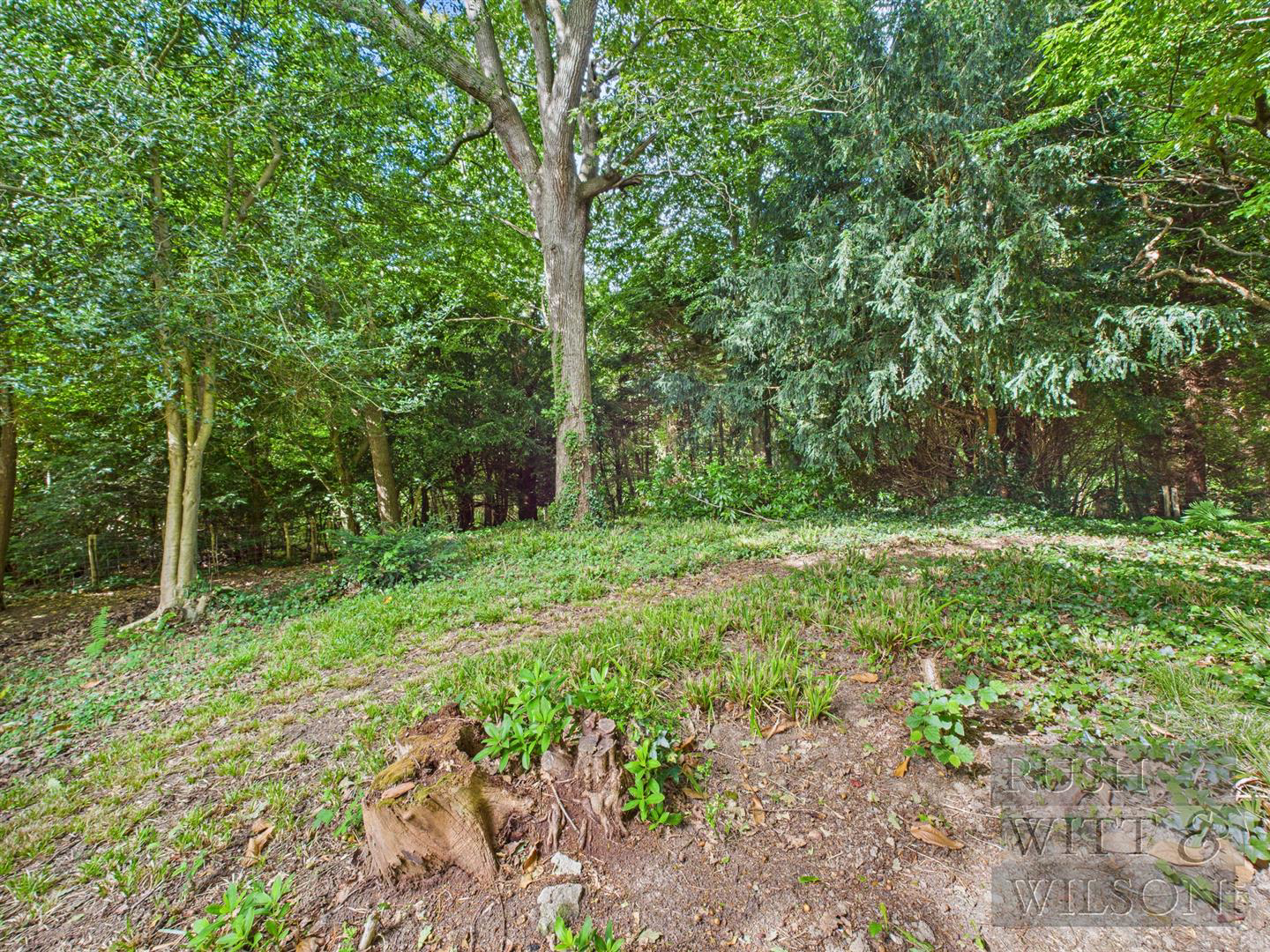 Forewood Lane, Crowhurst, Battle, photo 21