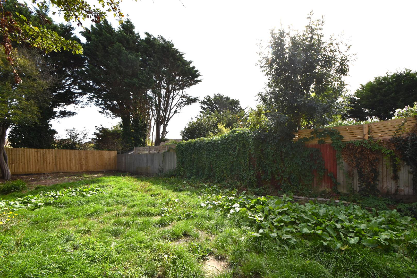 Abbey Drive, St. Leonards-On-Sea, photo 18