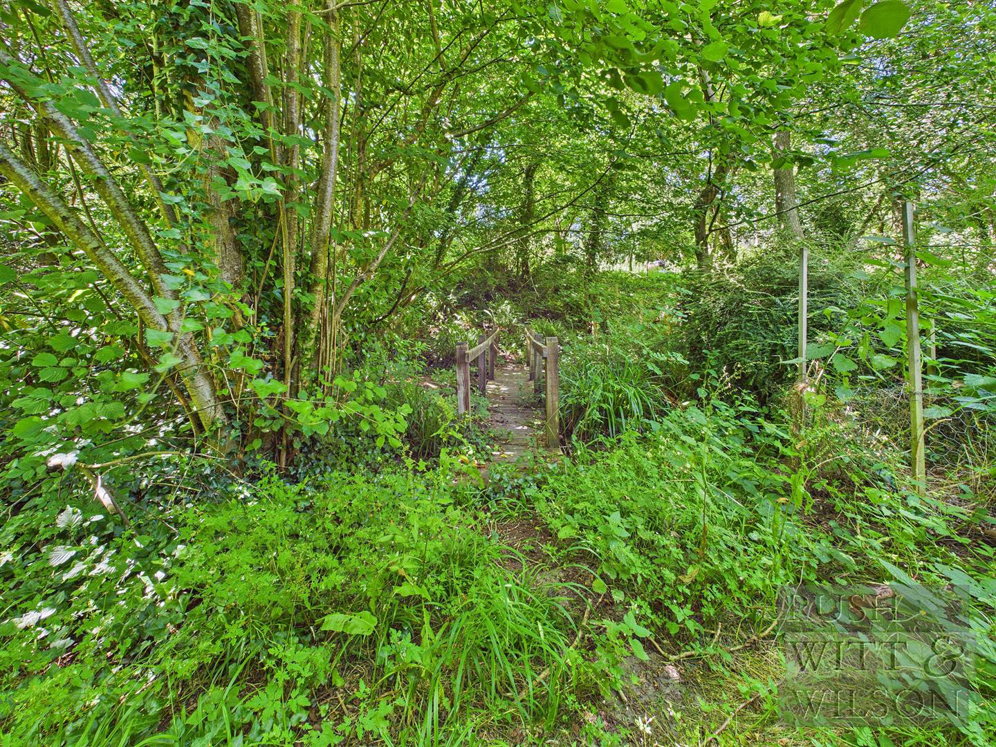 Station Road, Crowhurst, Battle, photo 20