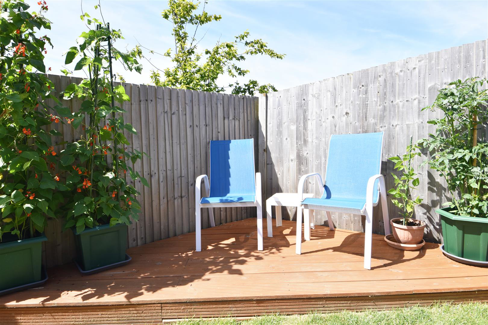 Hazelwood View, Hastings, photo 31