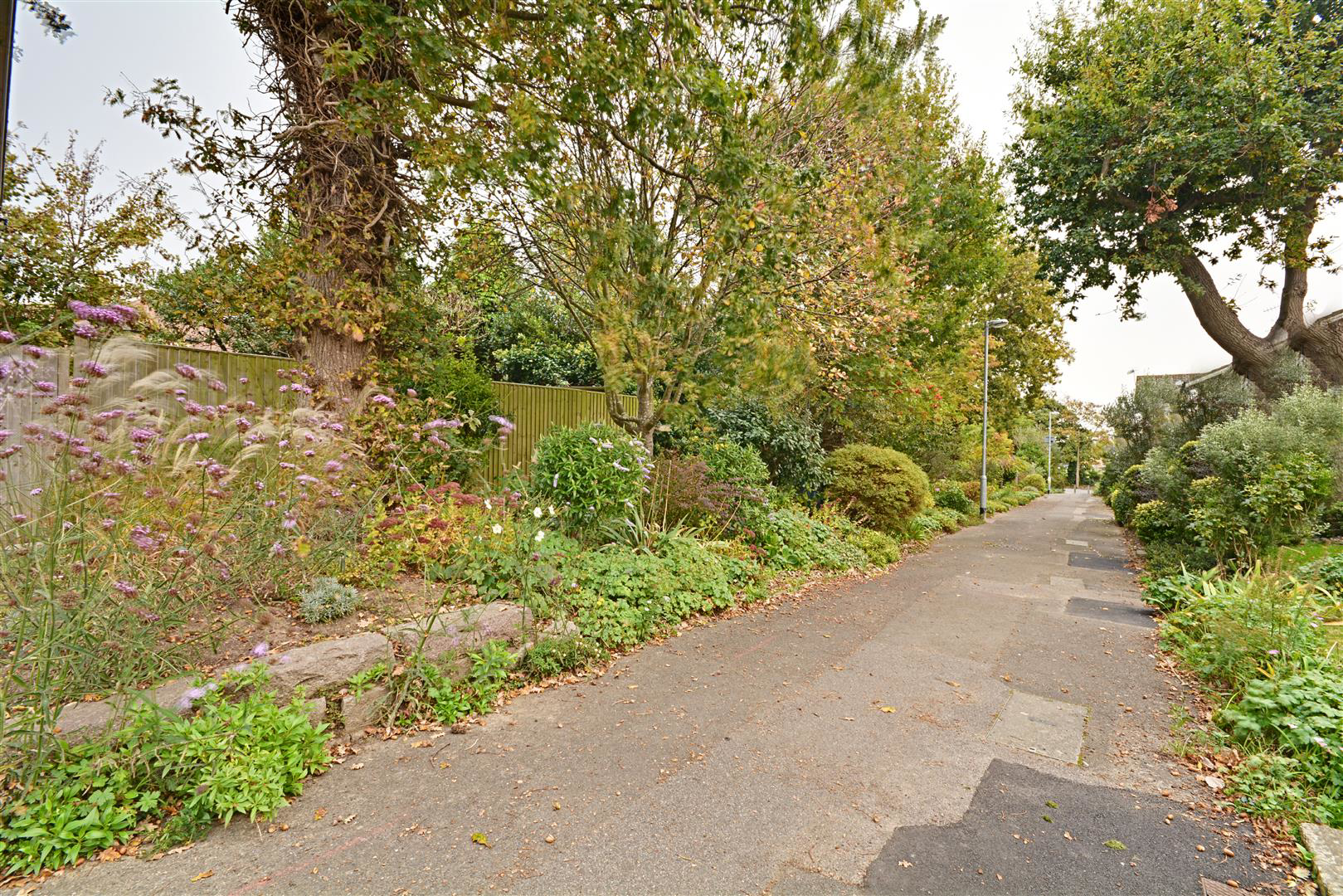 Chelsea Close, Bexhill-On-Sea, photo 15