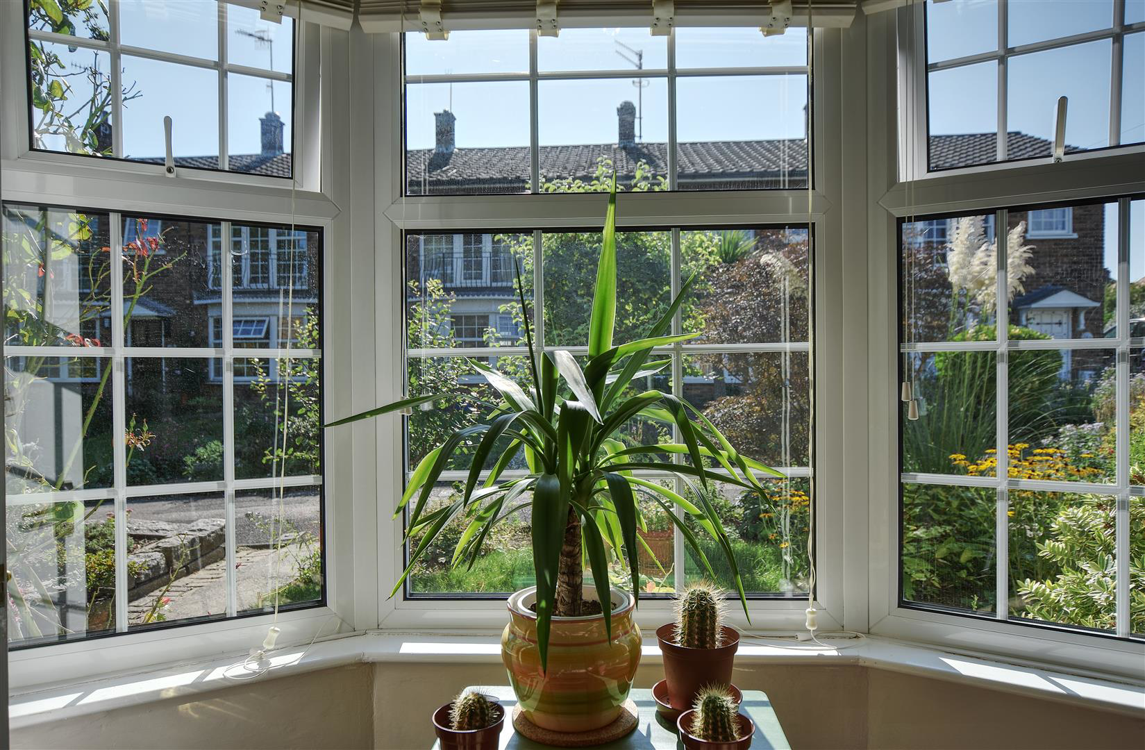 Chelsea Close, Bexhill-On-Sea, photo 12