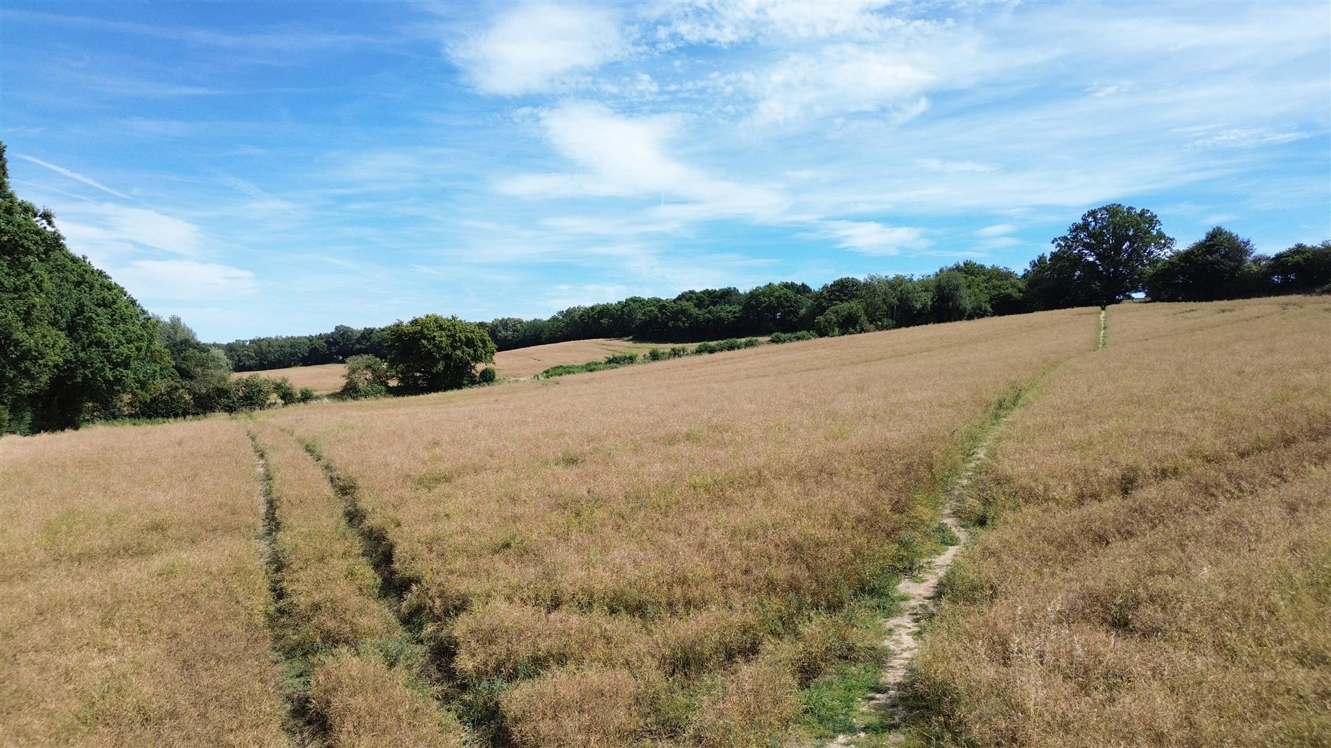 Sandhurst Road, Bodiam, photo 3