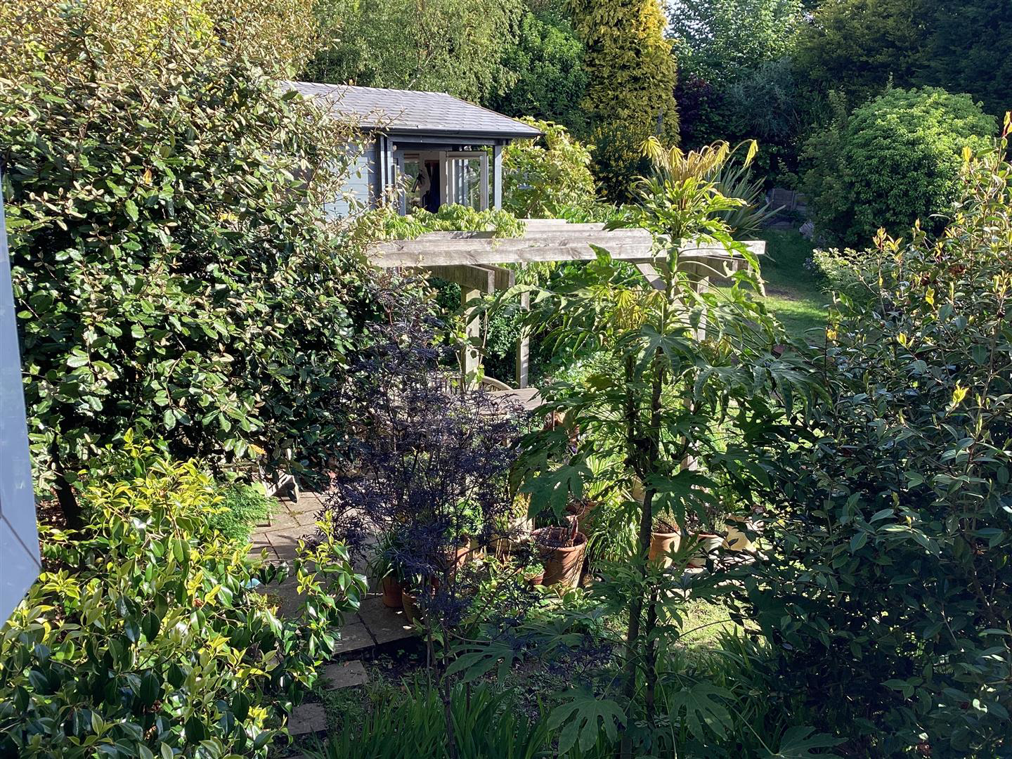 Warren Road, Fairlight, Hastings, photo 25