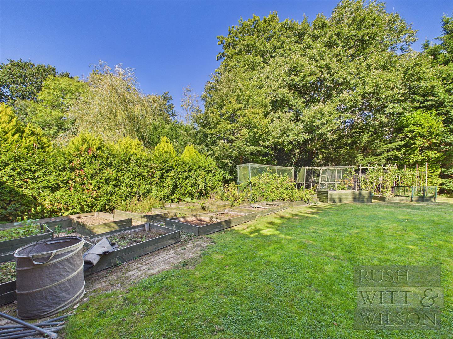 Kent street, Sedlescombe, photo 43