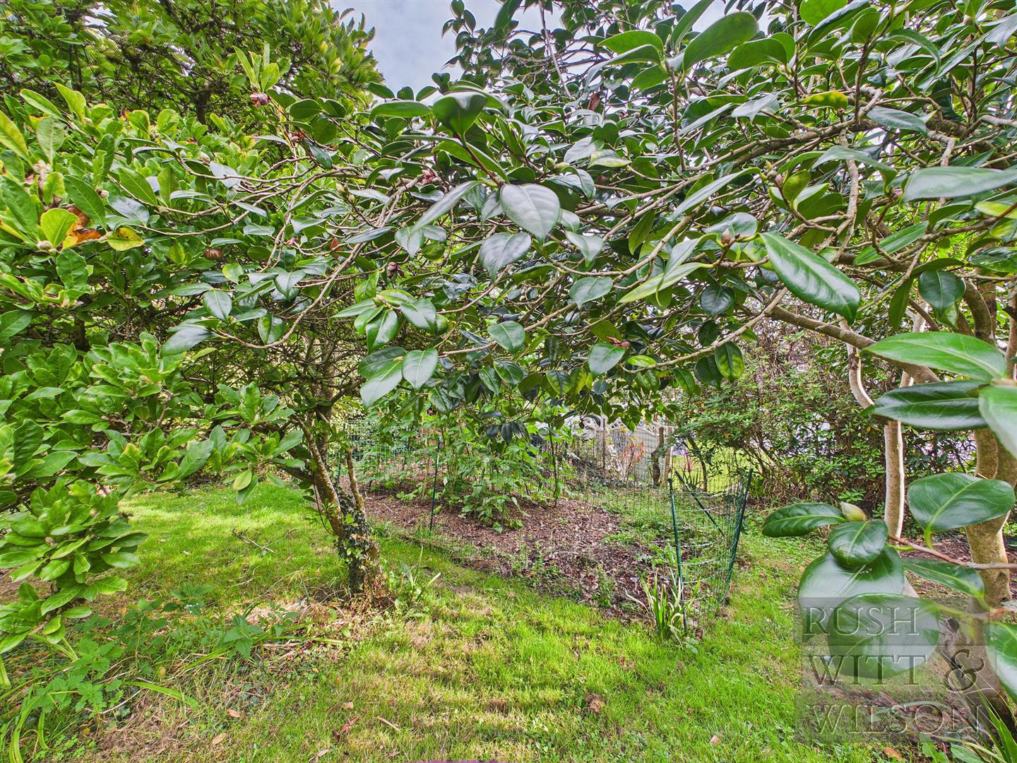 Langham Road, Robertsbridge, photo 30