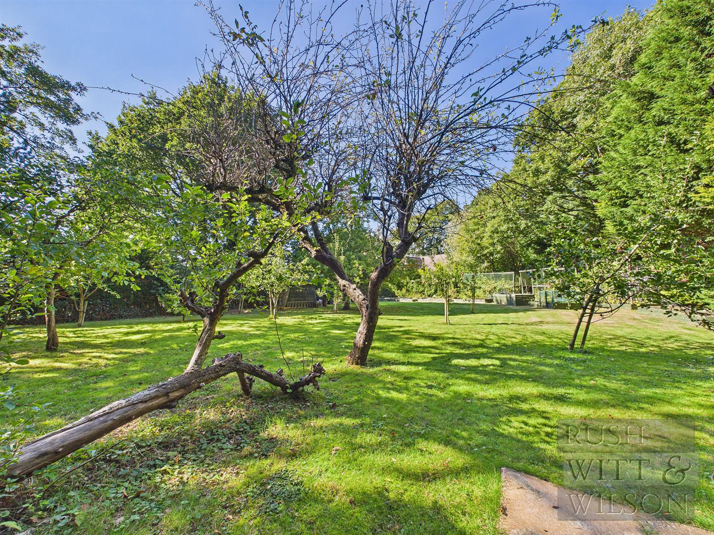 Kent street, Sedlescombe, photo 45