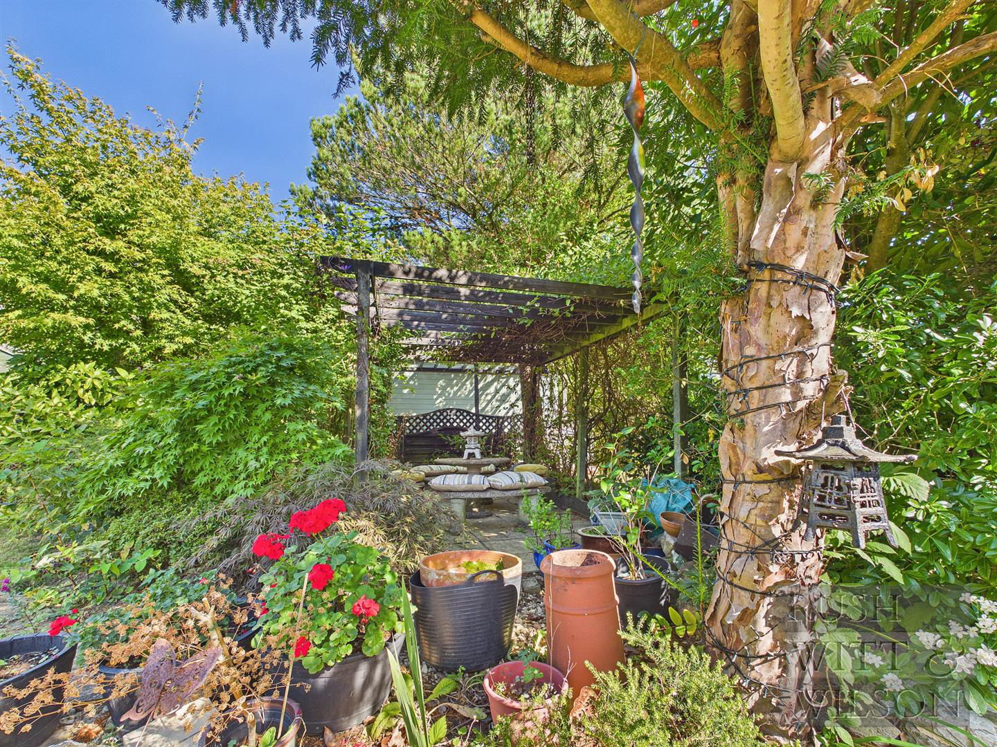 Kent street, Sedlescombe, photo 32