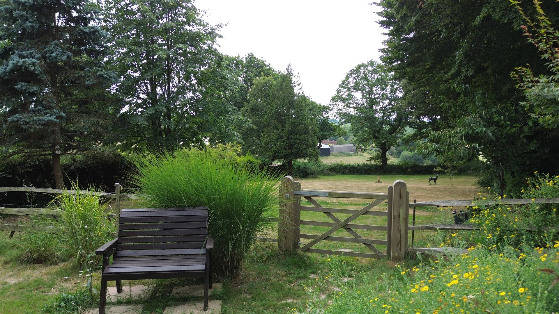 Chitcombe Road, Broad Oak, photo 31