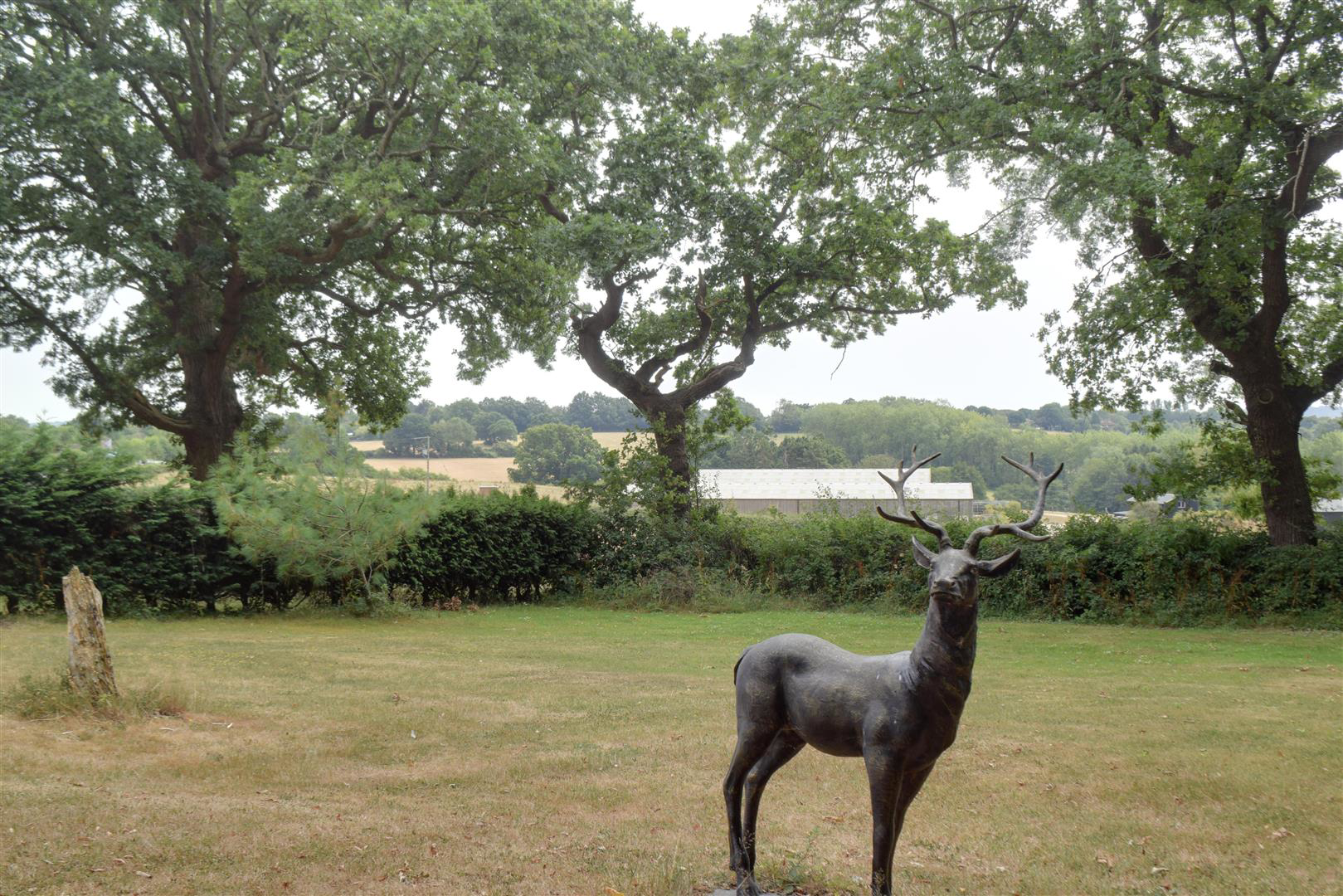 Chitcombe Road, Broad Oak, photo 28