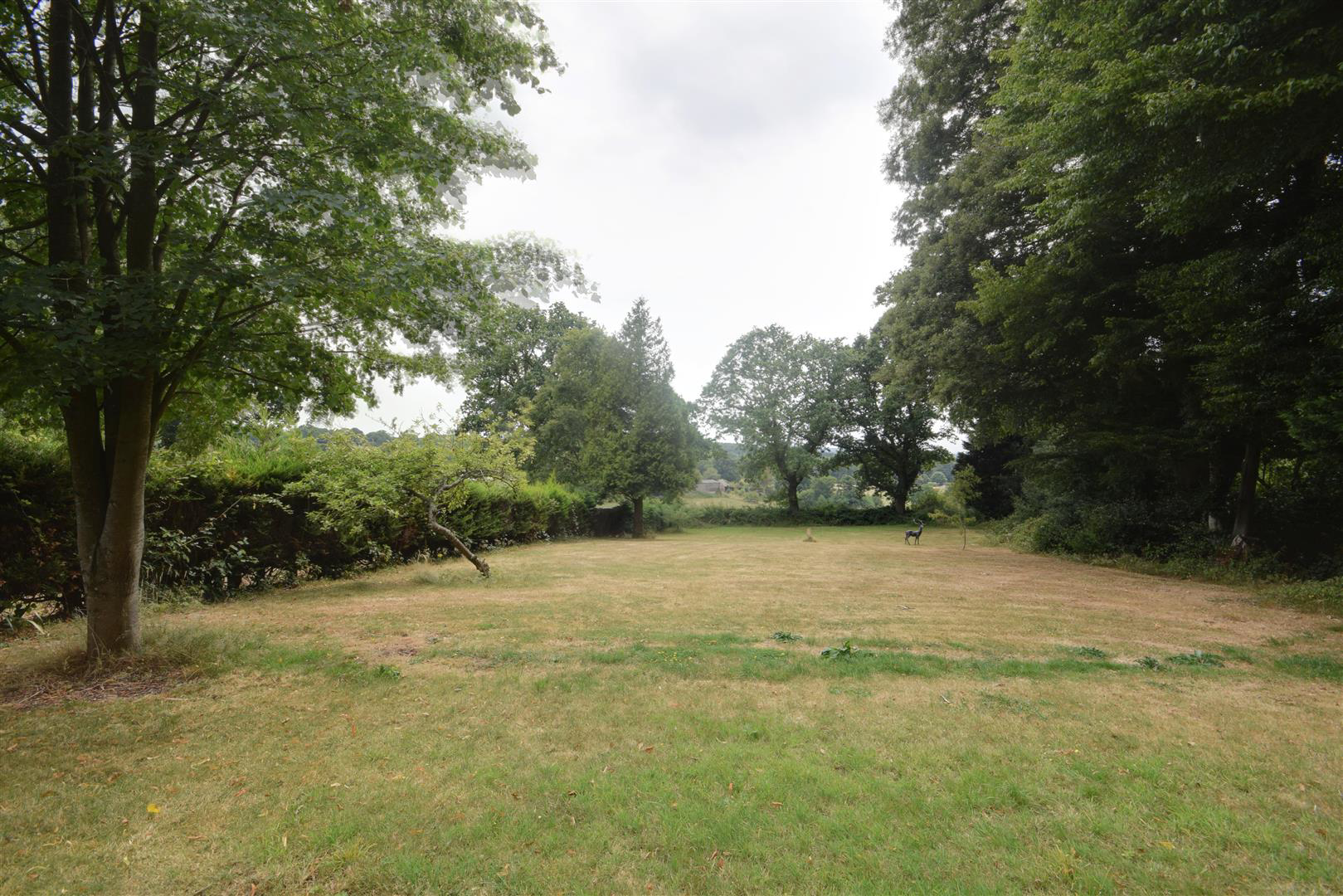 Chitcombe Road, Broad Oak, photo 27