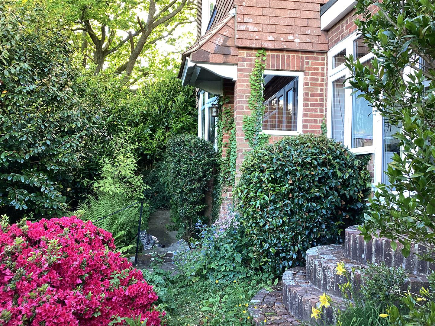 Warren Road, Fairlight, Hastings, photo 38