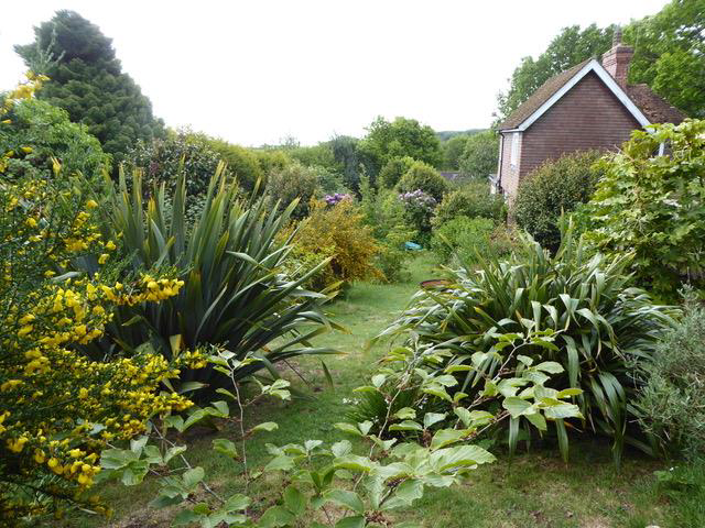 Warren Road, Fairlight, Hastings, photo 36