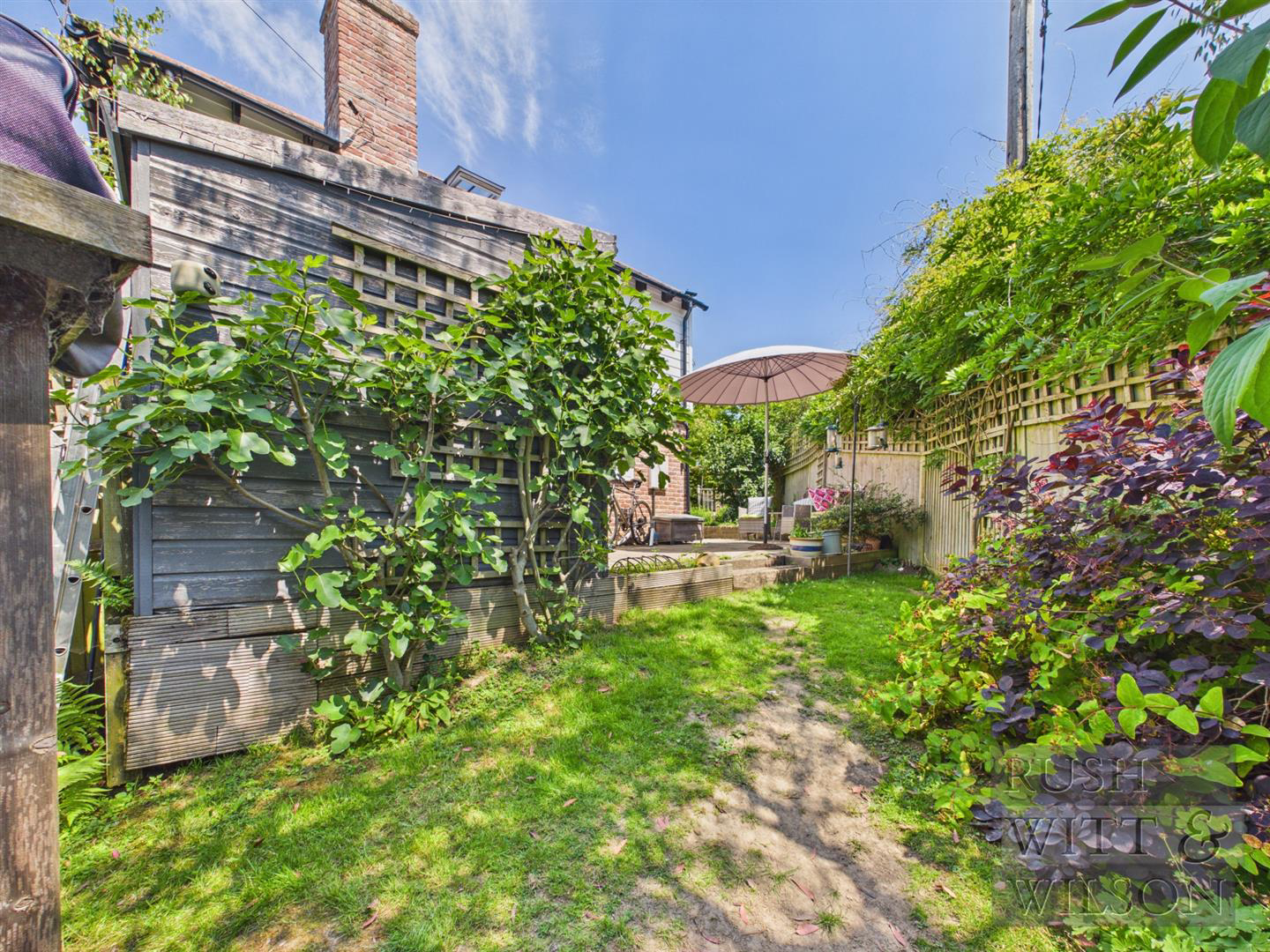 The Street, Sedlescombe, Battle, photo 22