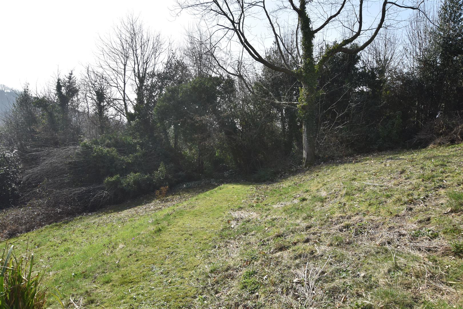 Tilekiln Lane, Hastings, photo 25