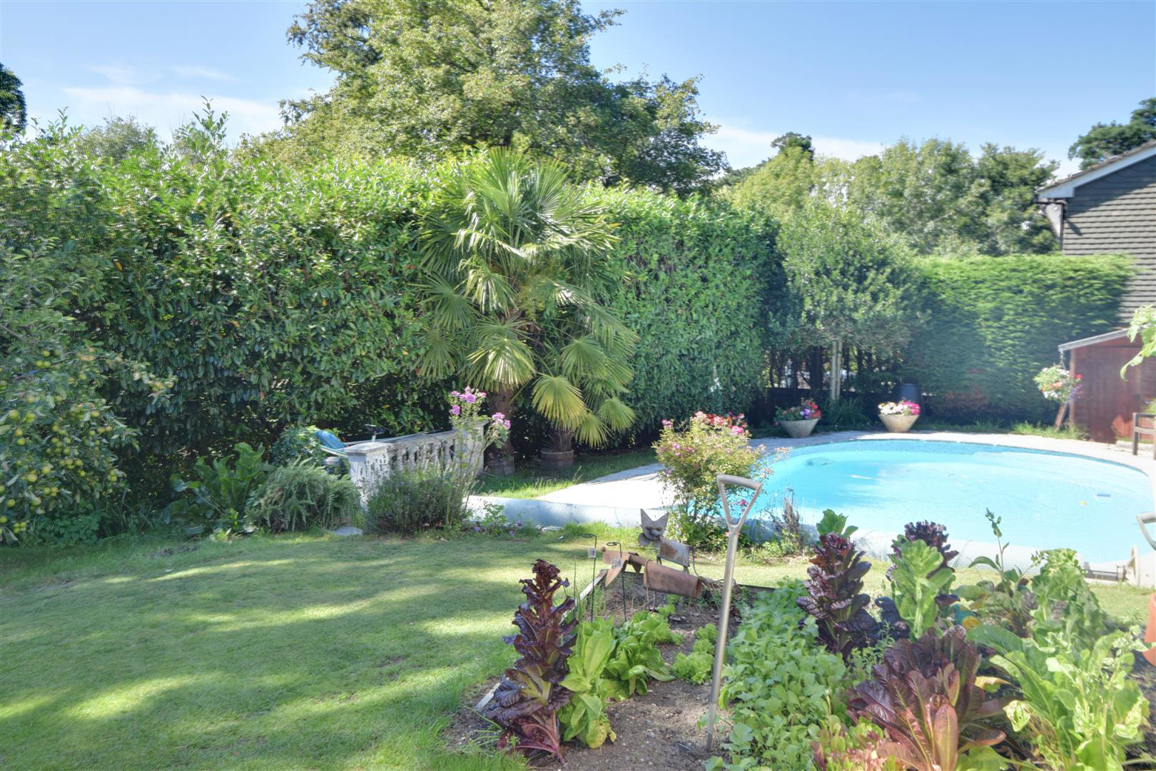 Foxcote, St. Leonards-On-Sea, photo 18
