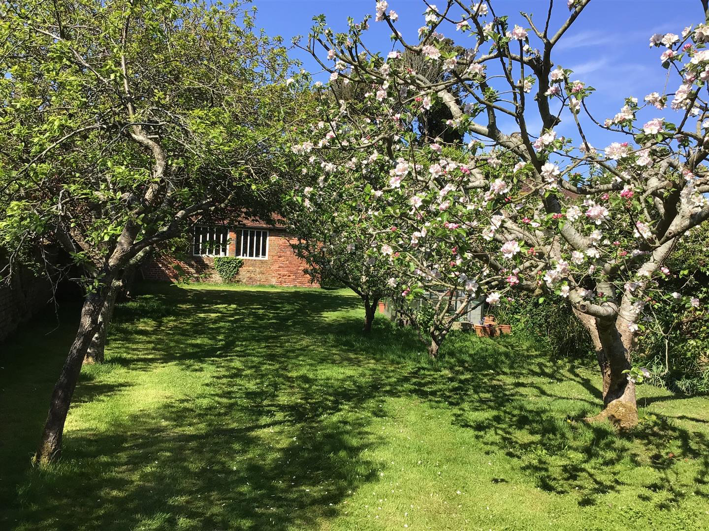 Pett Road, Pett, Hastings, photo 4