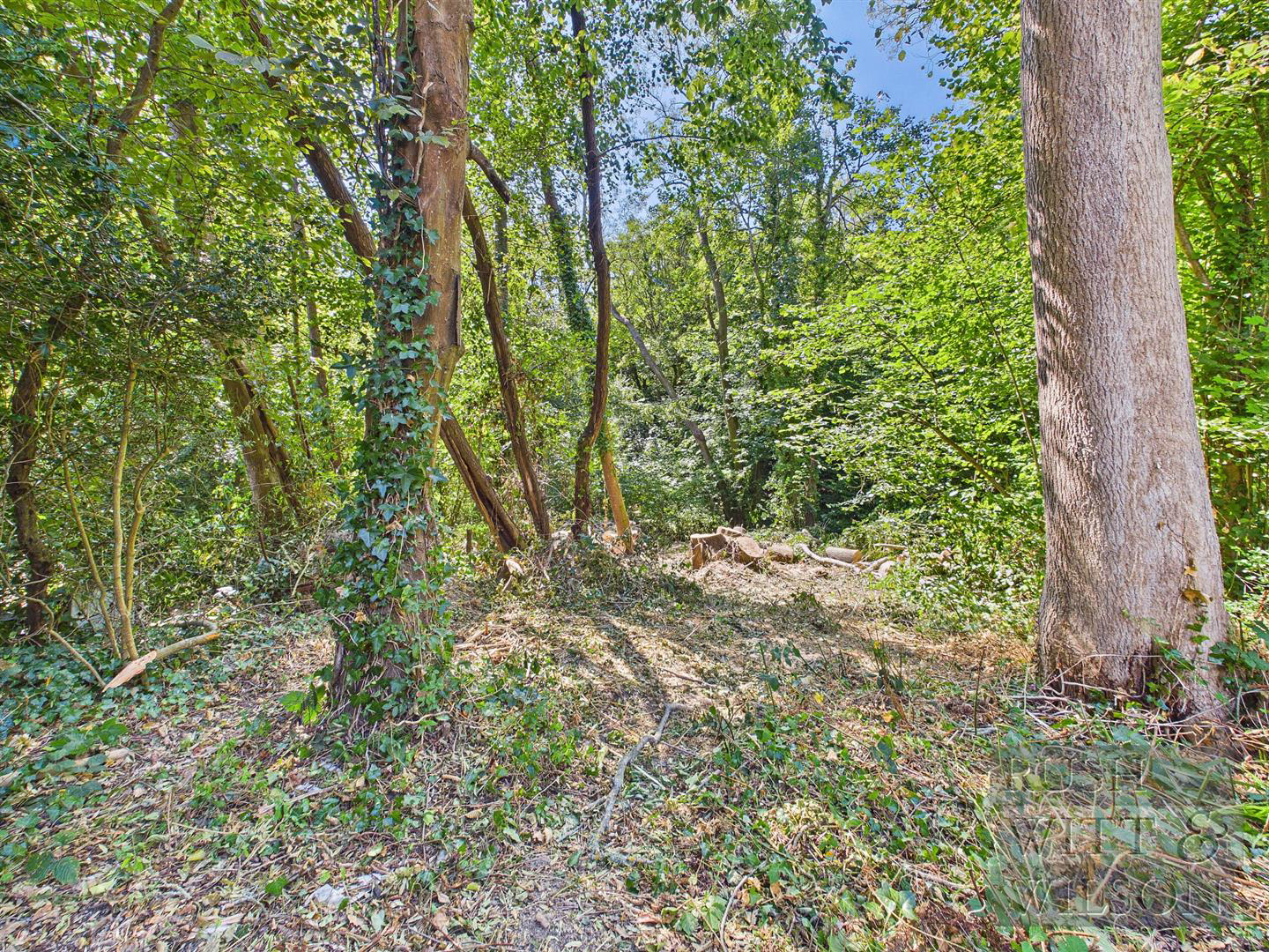 Station Road, Crowhurst, Battle, photo 23