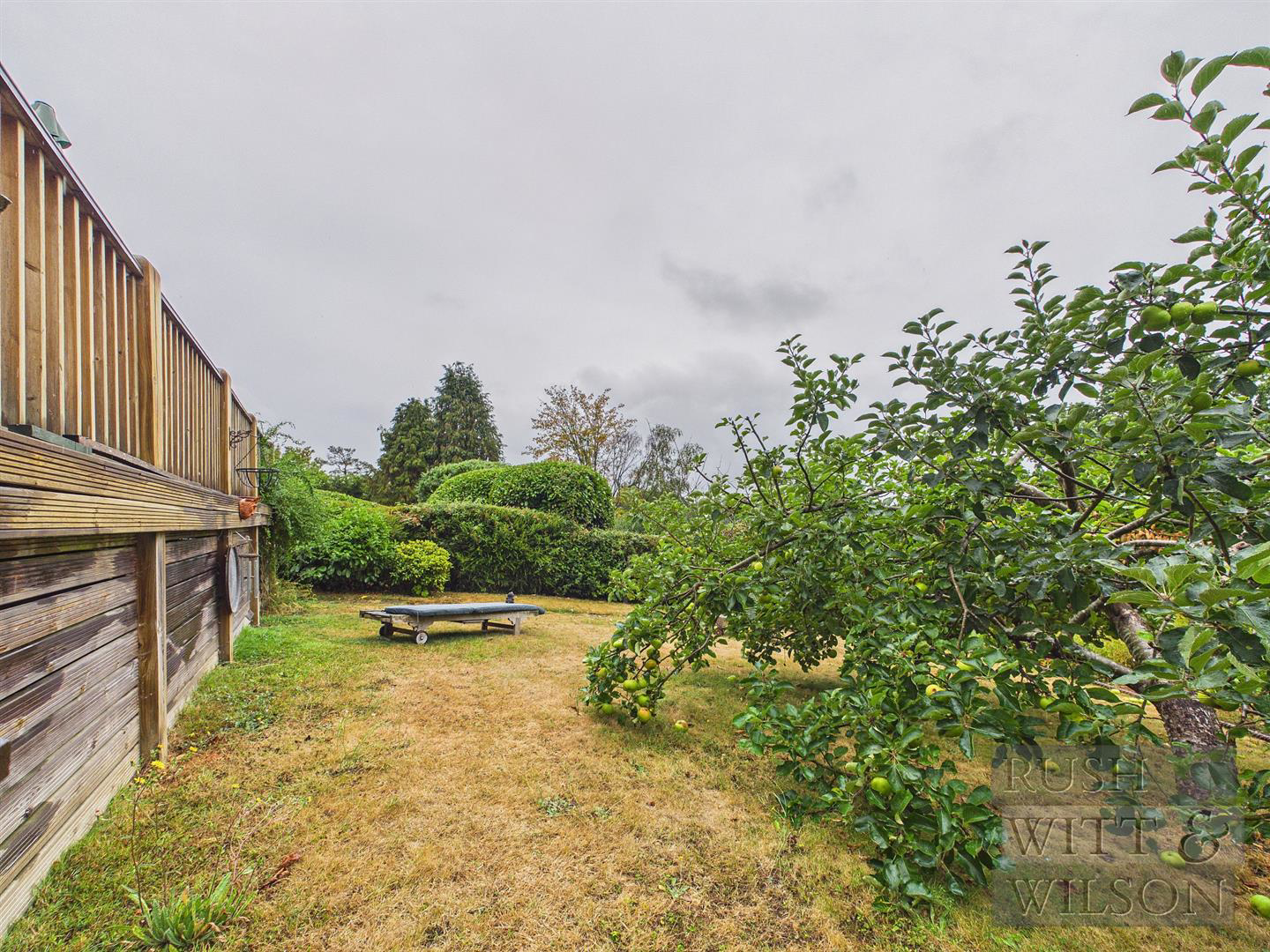 Meadow Lane, Sedlescombe, Battle, photo 24