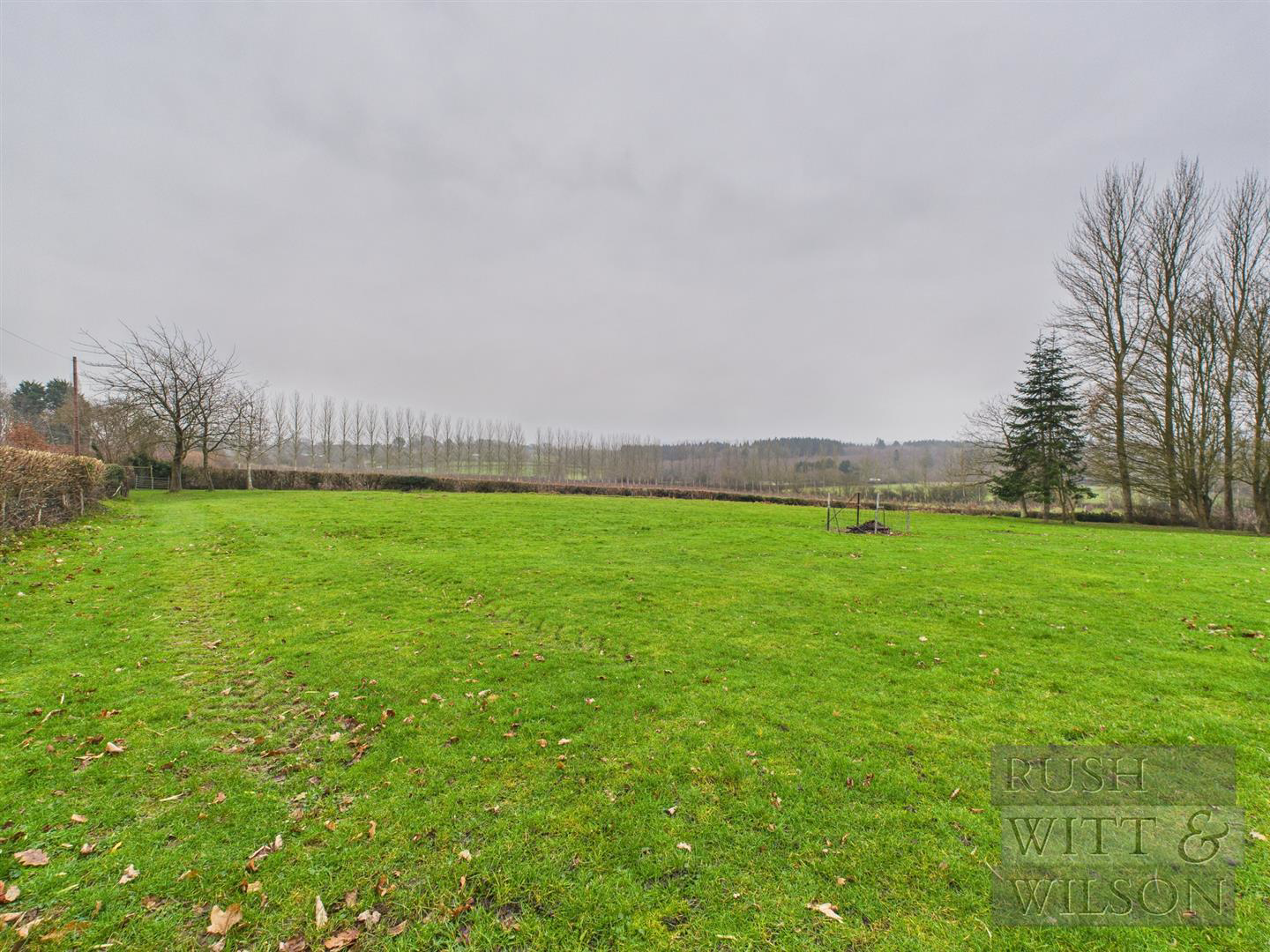 Parsonage Lane, Westfield, photo 29