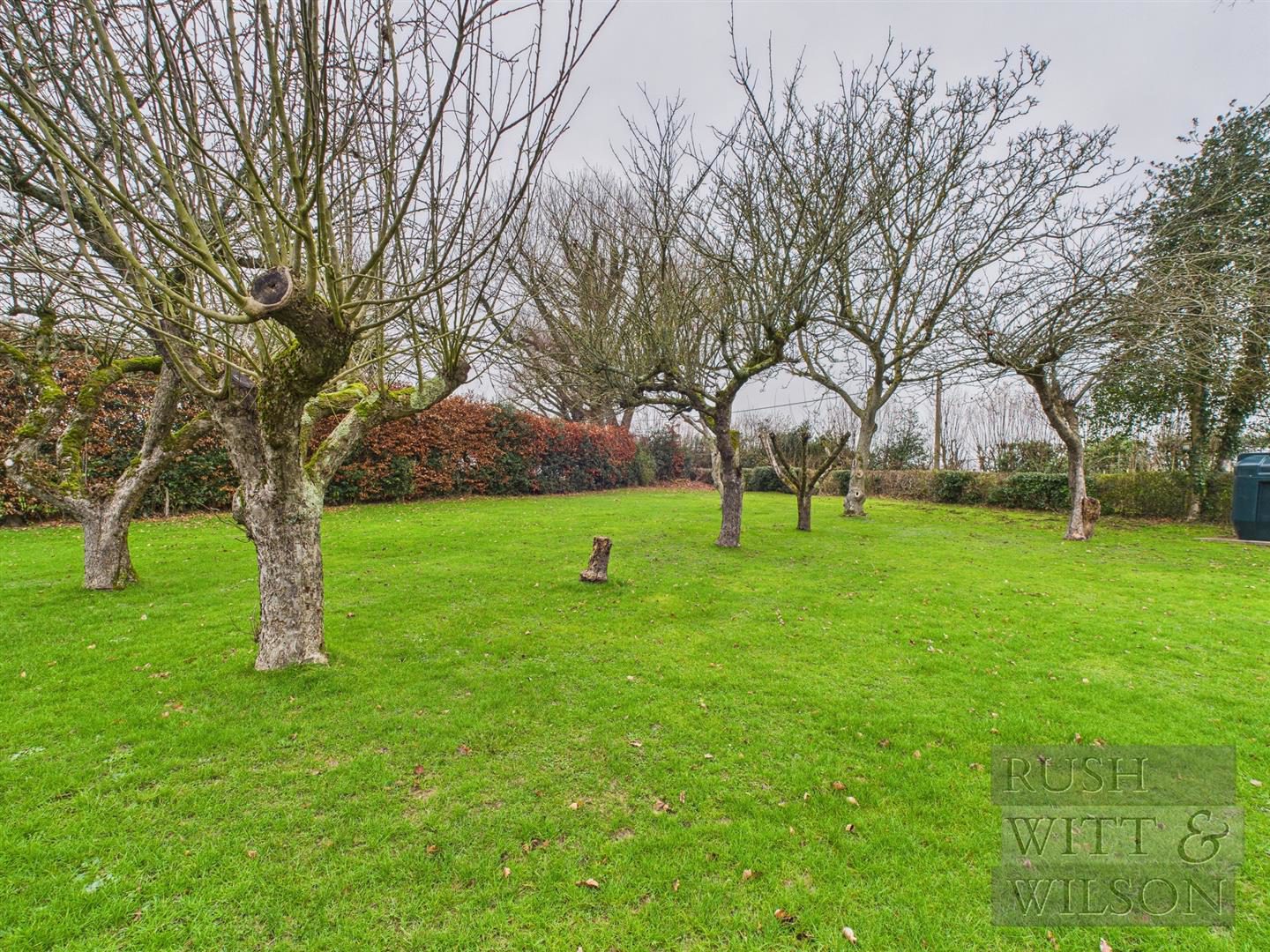 Parsonage Lane, Westfield, photo 28