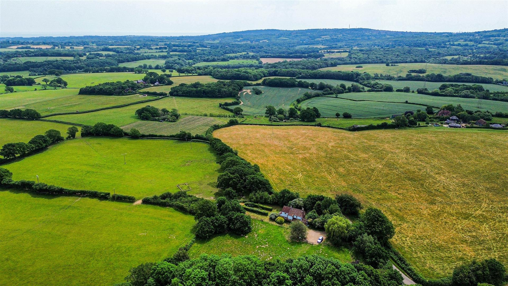 Doleham Lane, Westfield, Hastings, photo 31