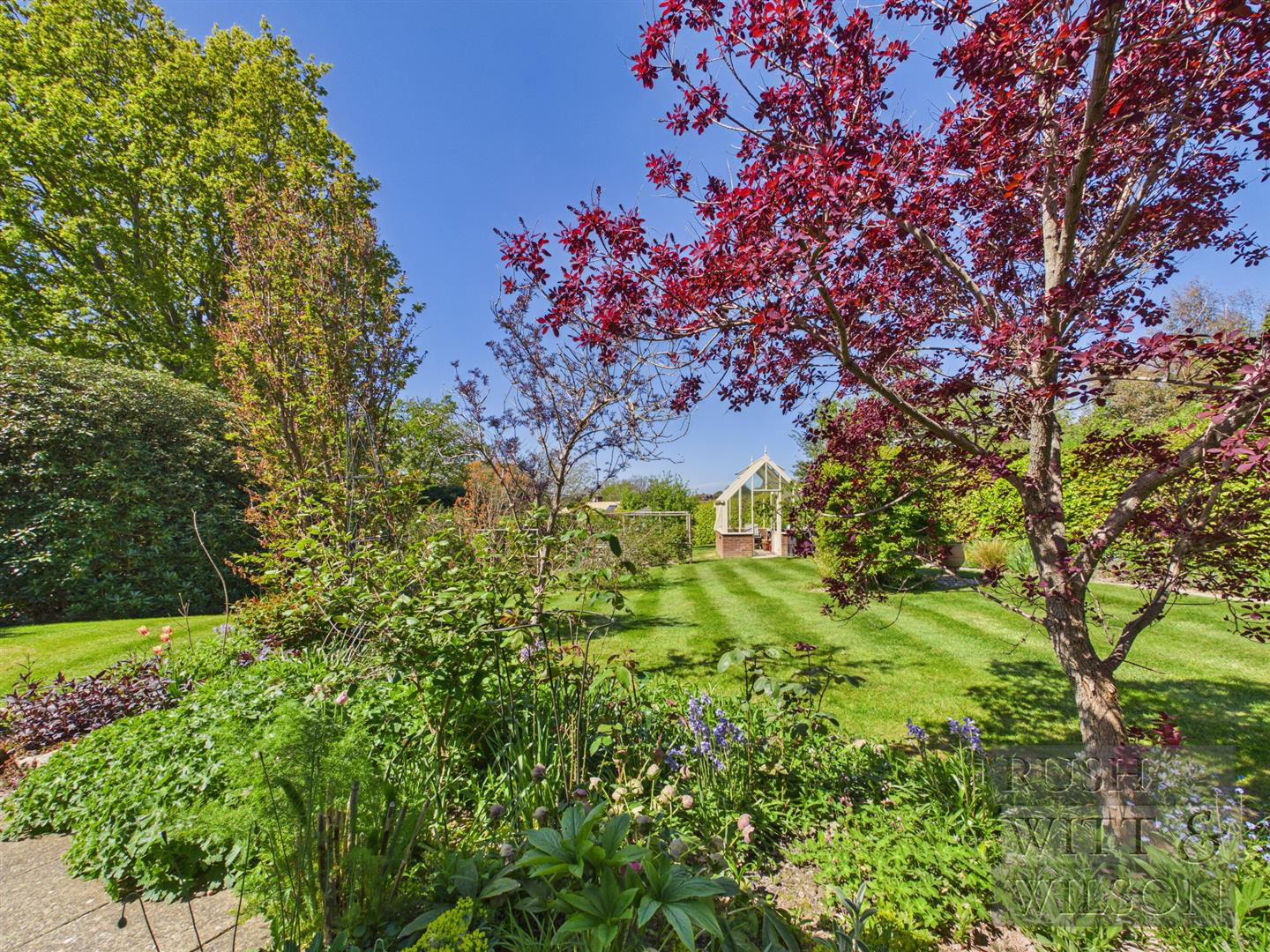 Gorselands, Sedlescombe, photo 31