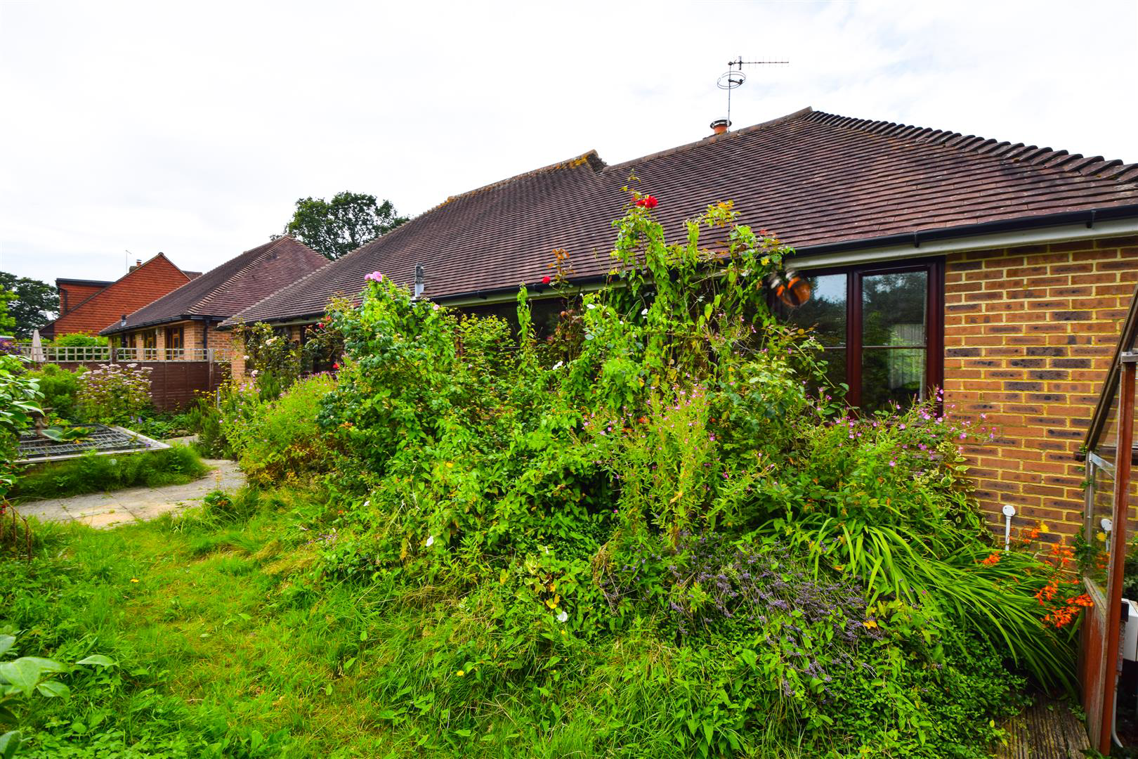 Gregory Walk, Sedlescombe, photo 14