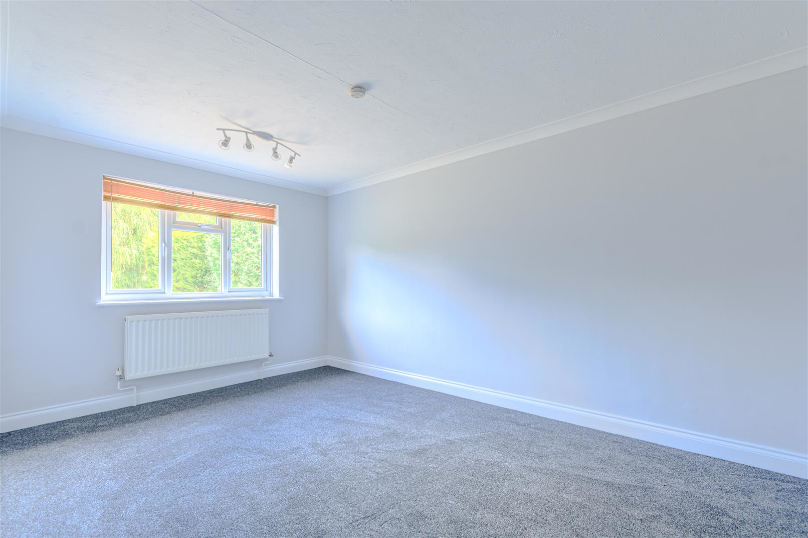 Sandrock Hill, Crowhurst, photo 6