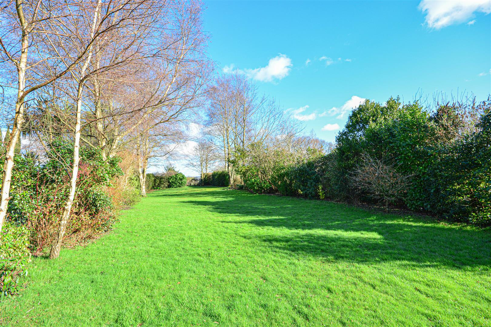 Netherfield Hill, Battle, photo 14