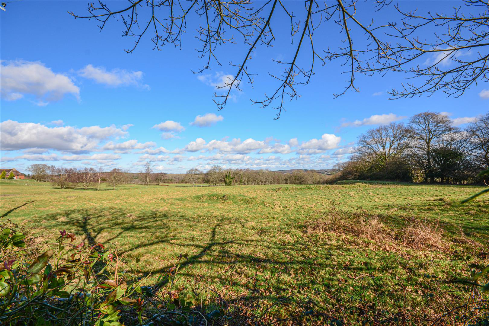 Netherfield Hill, Battle, photo 2