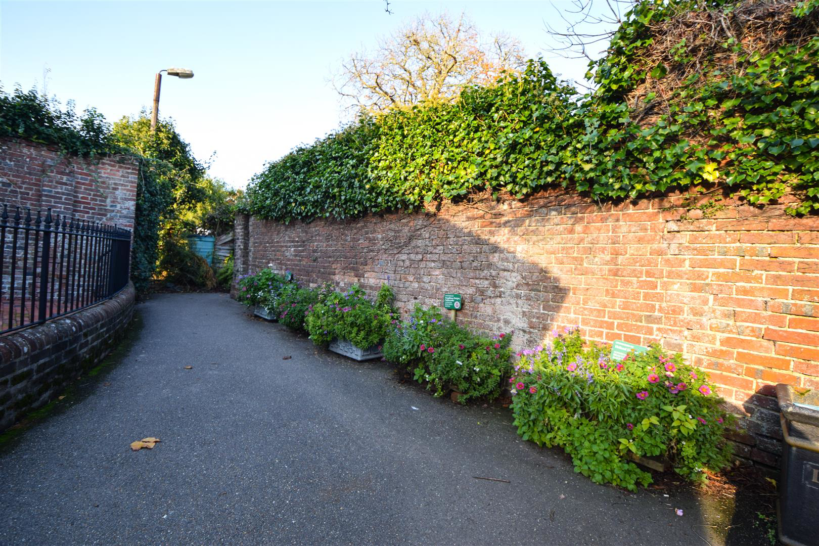 High Street, Battle, photo 10