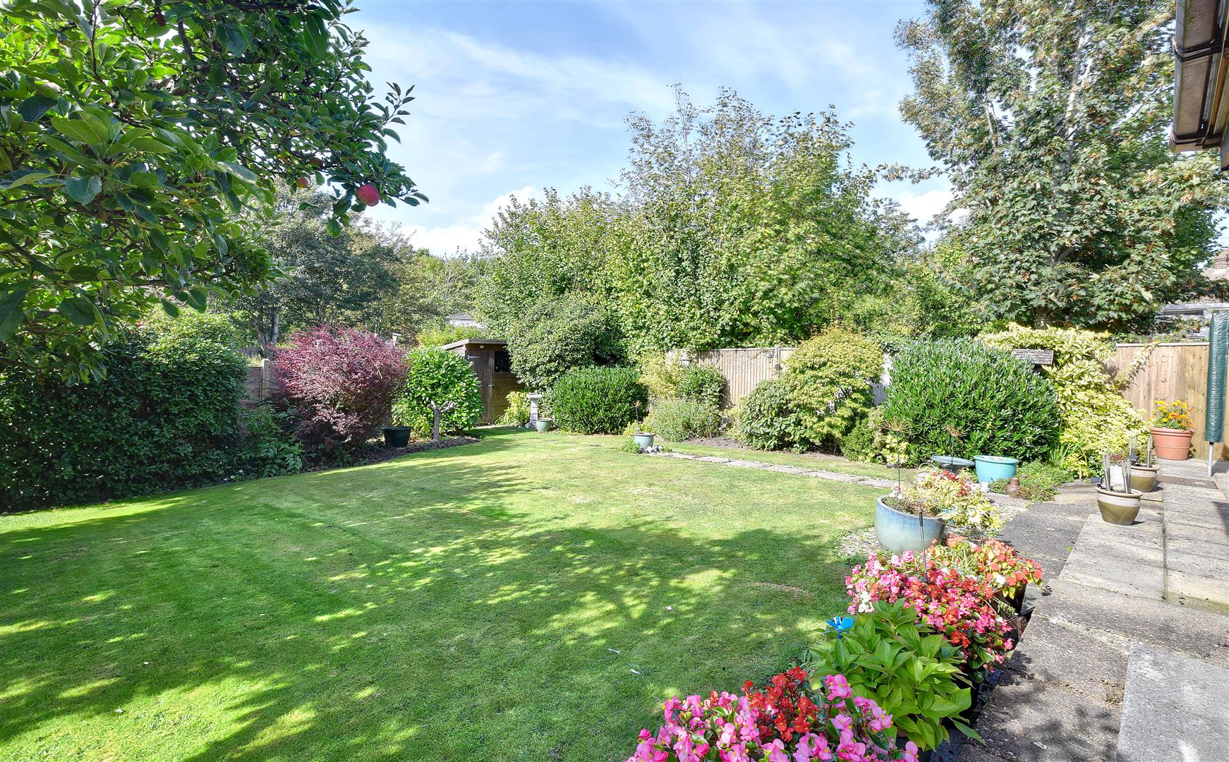 Wealden Avenue, Tenterden, photo 5